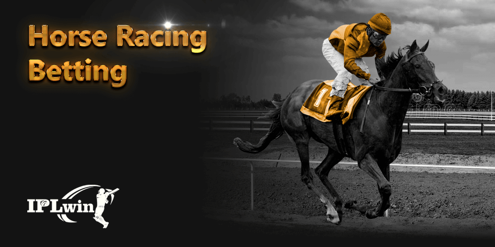 365bet login