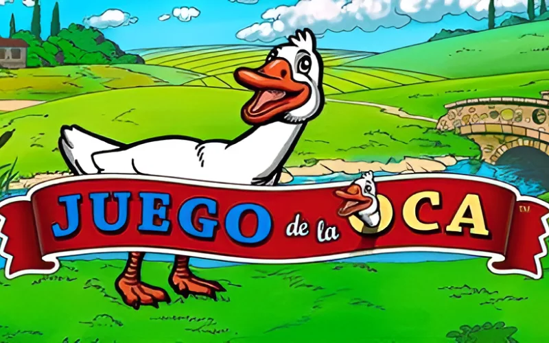 Casigo.com